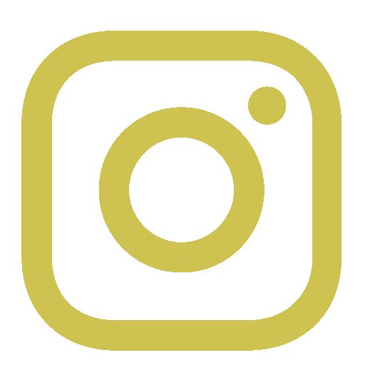 Instagram Icon
