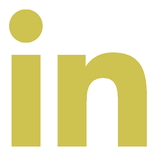 LinkedIn Profile